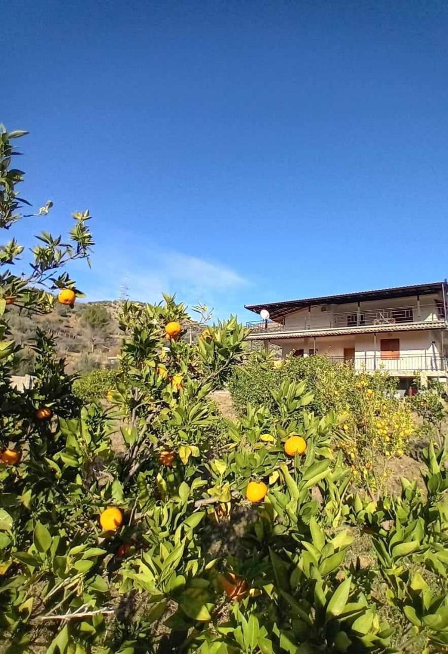 Guest House Xhaferaj Berat Exteriér fotografie